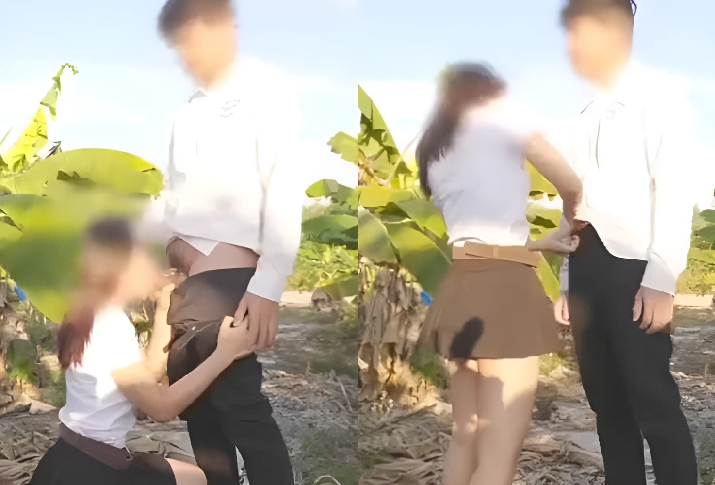 Đưa em ra thăm vườn chuối nhà anh